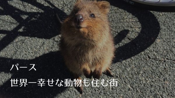 旅行にも役立つ!パースの気候や天気・治安・物価は?